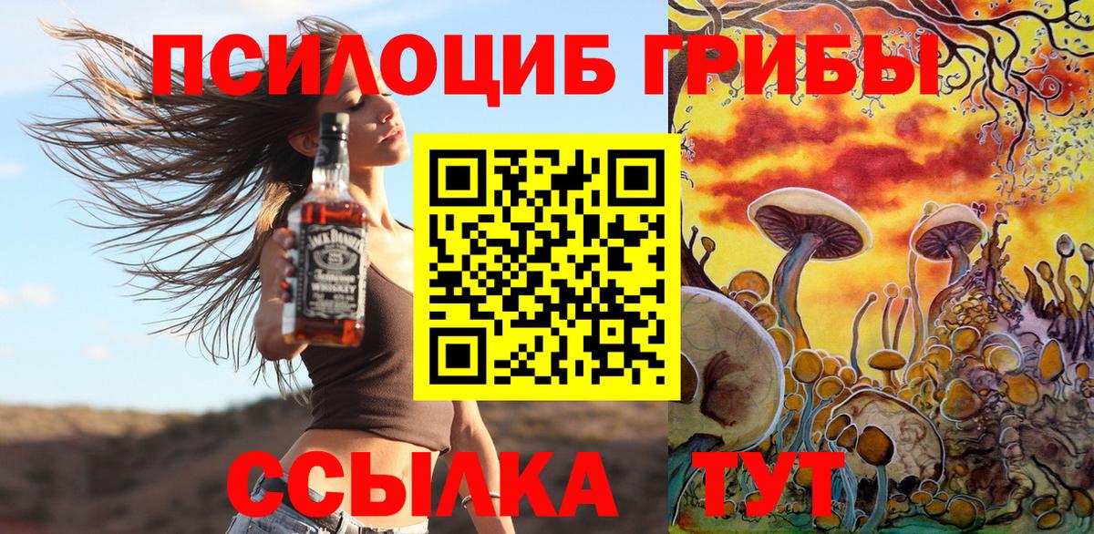 Галлюциногенные грибы Psilocybe Феодосия