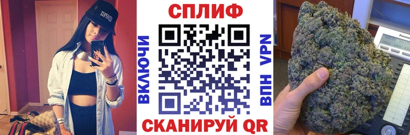 как найти   Феодосия  Конопля сатива 